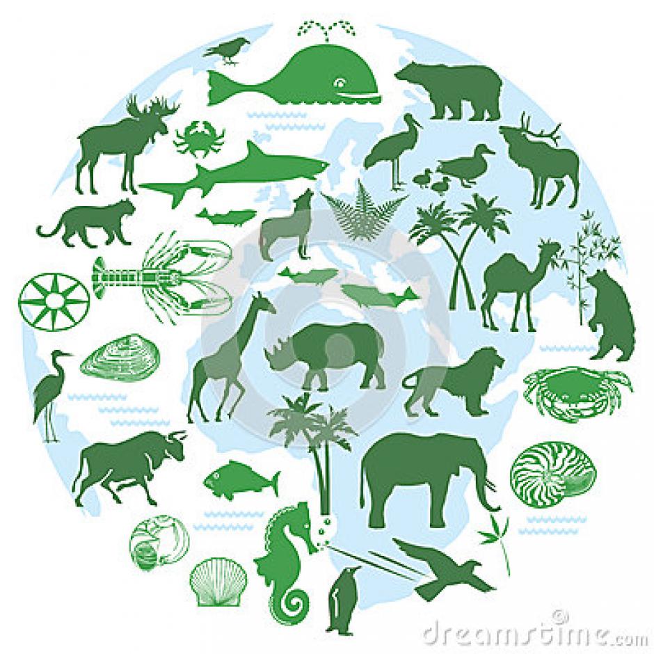 La biodiversité: Qu’est ce que c’est? Et comment la conserver?