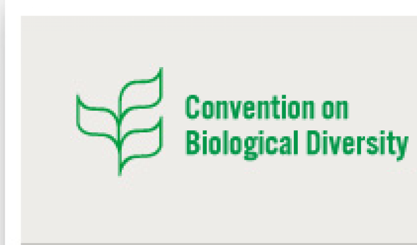 Convention sur la Diversité Biologique (Document PDF à télécharger)