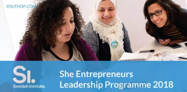 Programme de leadership en entreprise 2018 en Suède