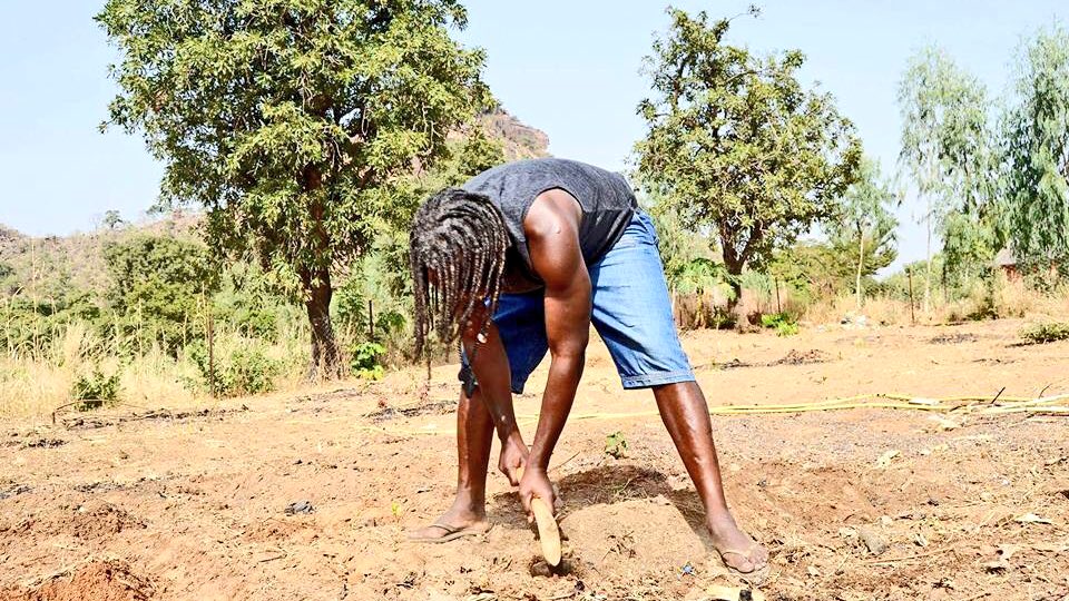 Agriculture:   »La terre, la plus grande entreprise que Dieu nous a donné » Tiken Jah Fakoly, Artiste Reggae