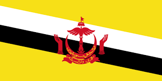 Le Gouvernement de Brunei Darussalam offre  des bourses d’études aux Etats membres de l’OCI