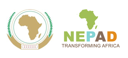 La transformation du Nouveau partenariat pour le développement de l’Afrique (NEPAD) en Agence de développement de l’Union africaine