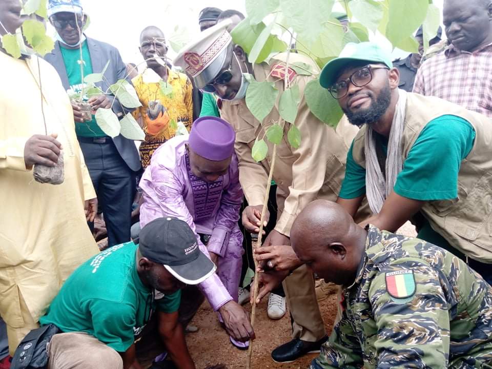 Environnement : l’ONG CIPAD-Guinée lance la 2ème édition du reboisement à Wonkifong