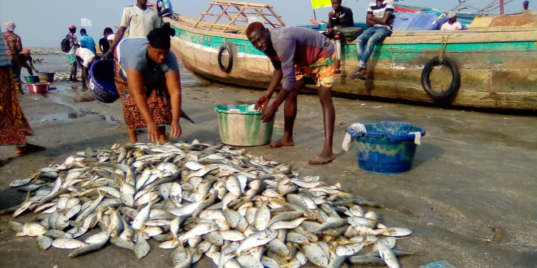 ﻿Fin du repos biologique : Les pêcheurs artisanaux dressent un bilan alarmant