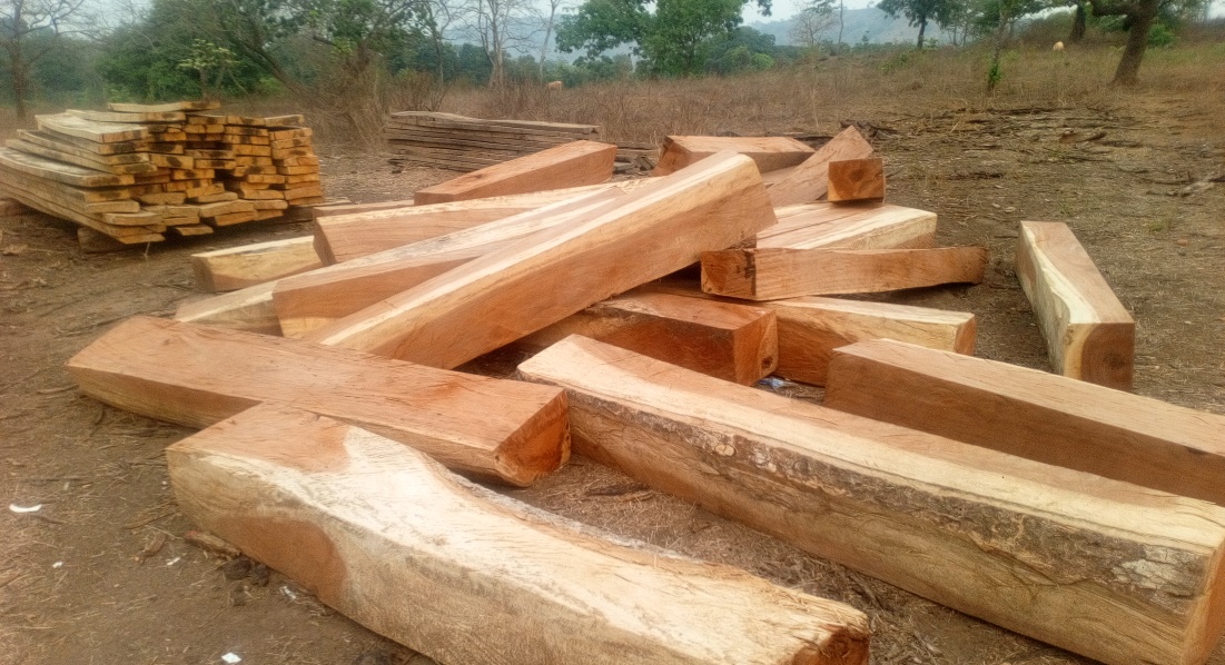 ﻿Guinée : levée d’interdiction sur la libre circulation des bois