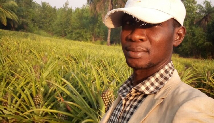 Du journalisme à l’agriculture, entretien avec Younoussa Sylla patron des « Agrumes Guinée »